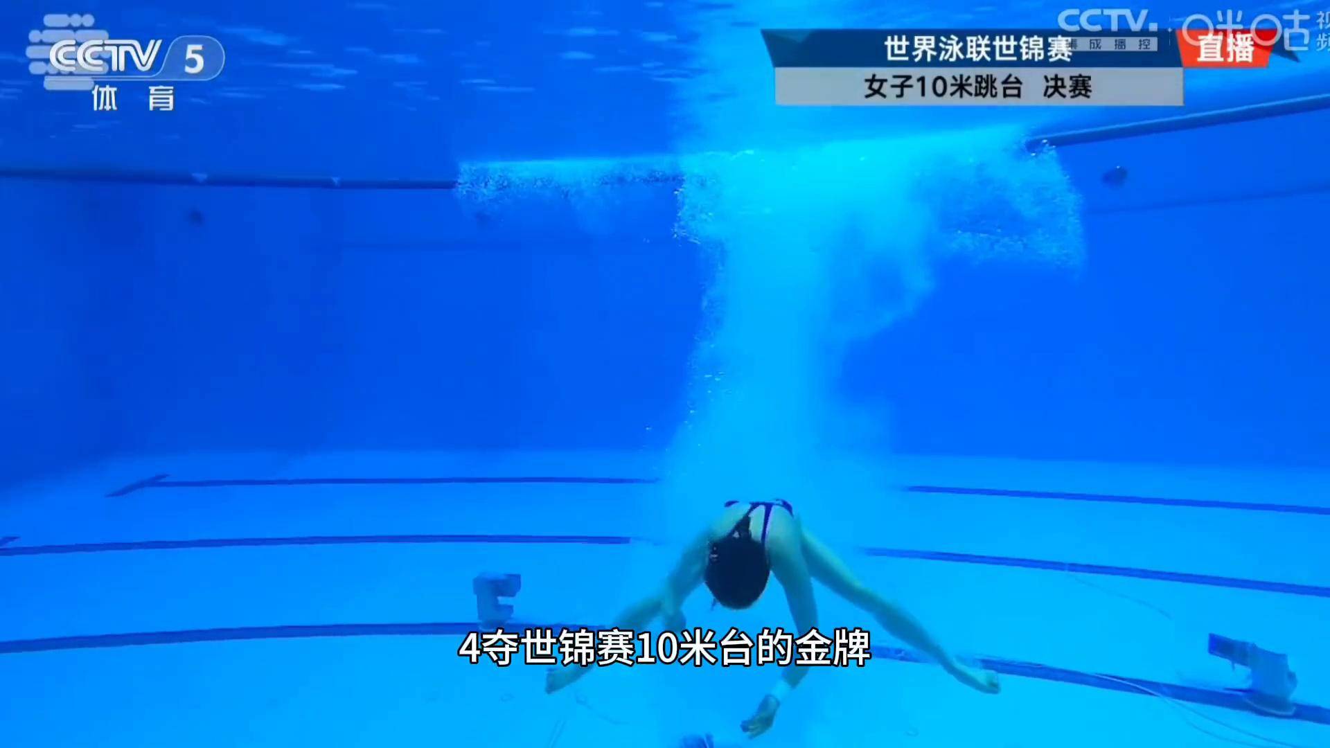 中国跳水选手刷新世界记录，惊艳全场的简单介绍
