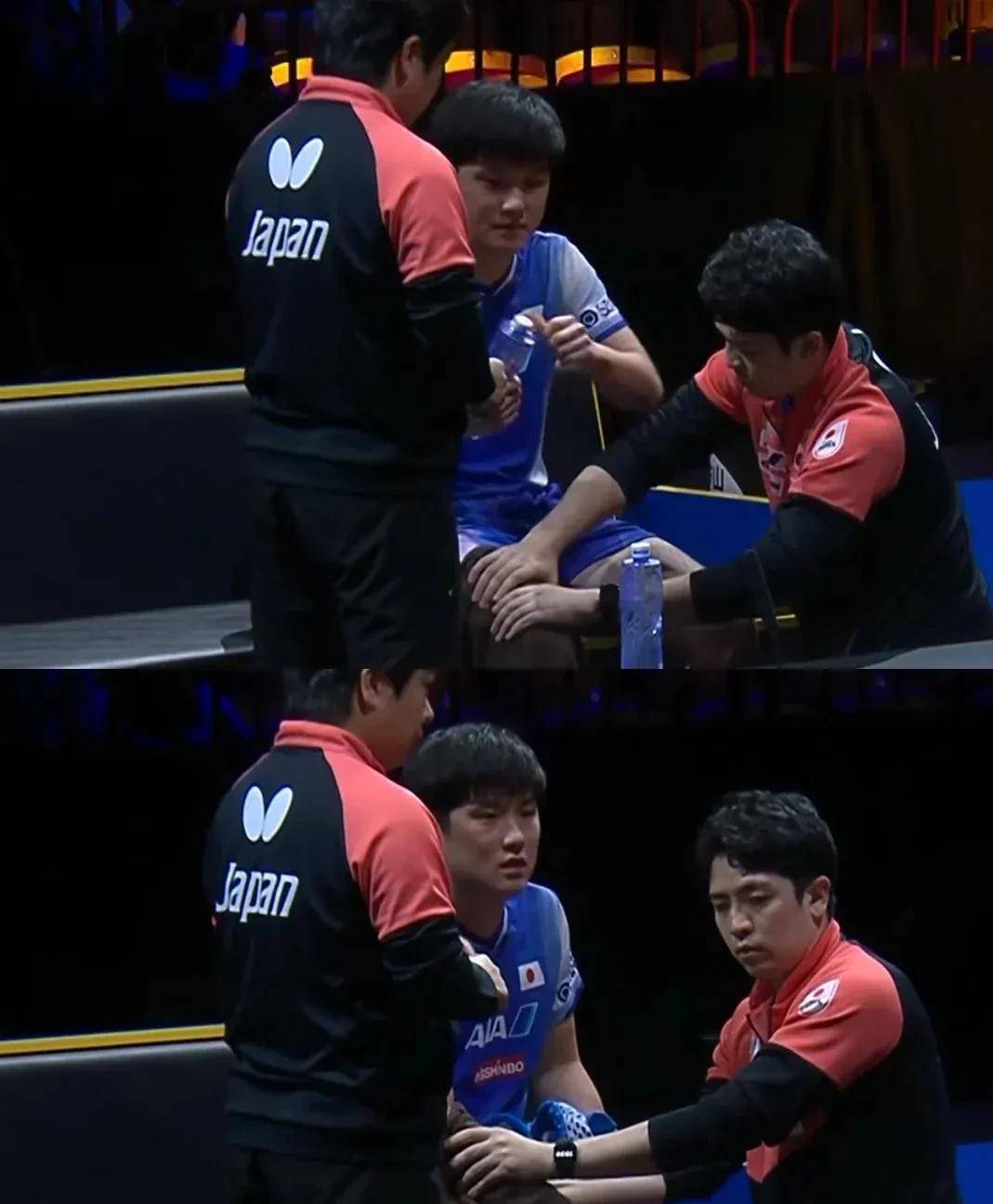 德国队横扫中国队,张本智和惊艳四座的简单介绍 德国队横扫中国队,张本智和惊艳四座的简单介绍