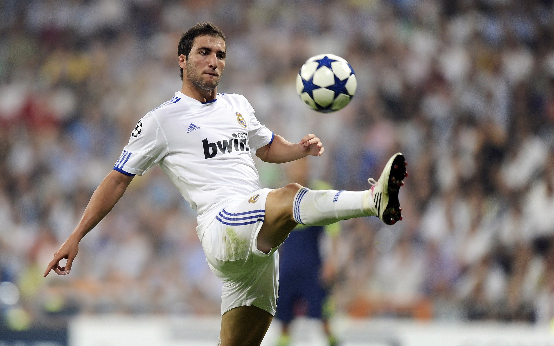 京多安爆发，澳大利亚带走那不勒斯，一场跨越时空的足球启示录